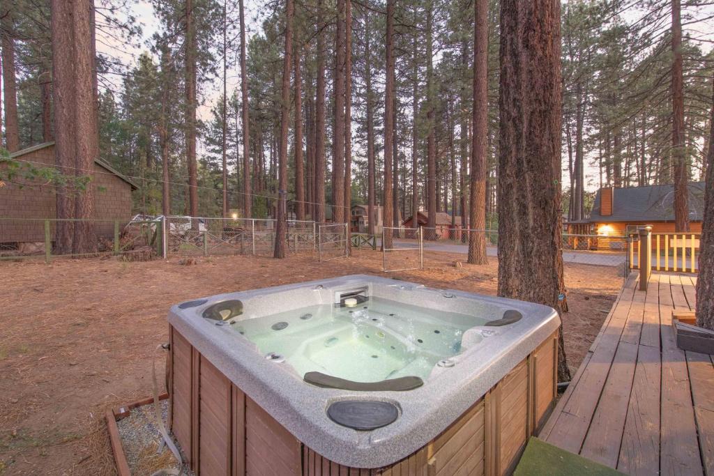 Big Bear Lake Ski Chalet | 2194-Conklin Base Camp Chalet chalet