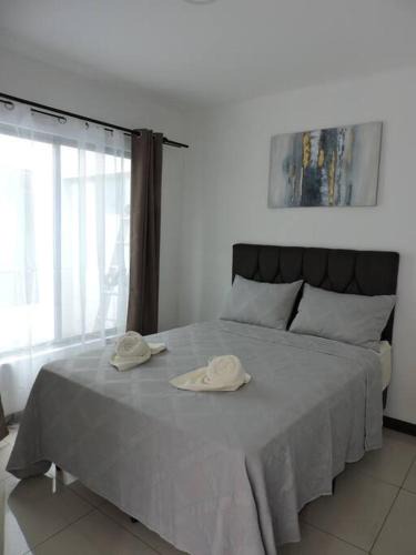 Ciudad Cariari Apartment | Apartamento Centro Convenciones Costa Rica
