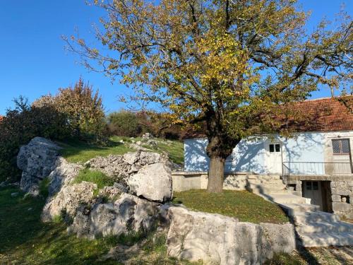 Niksic Apartment | Back to Basics