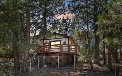 Sugarloaf House | Bear Forest Cabin, Large Yard, Pet-Friendly!