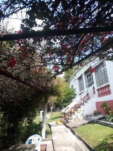 Ocuilan House | Casa Don Rubén