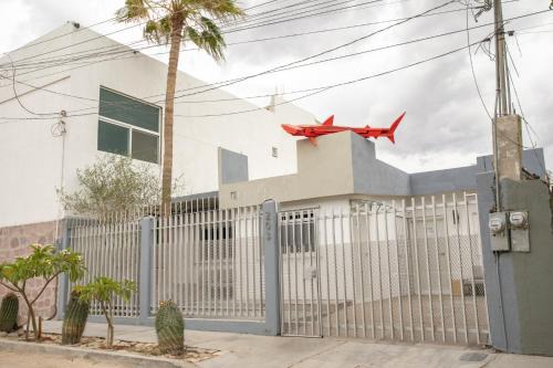 La Paz House | Casita Tiburón