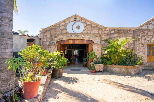 Tequila Hotel | Collection O Posada Terraza