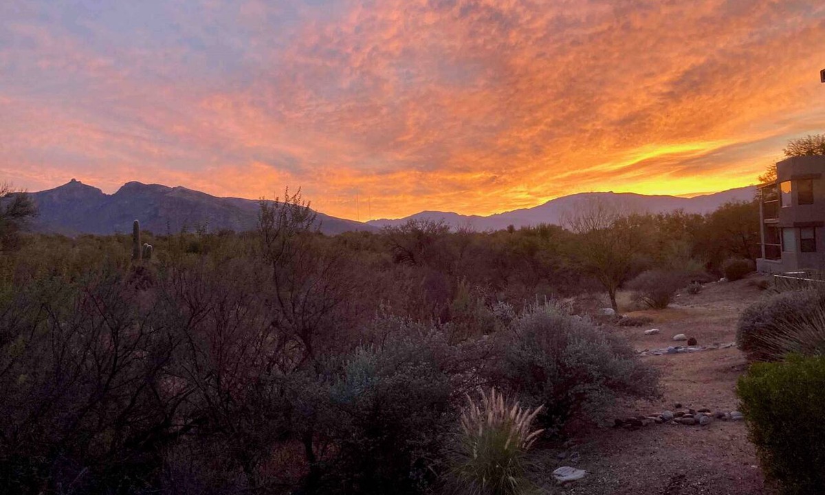 Tucson Condo | Condo opens to lush desert with unobstructed views of Catalina-Rincon mtns