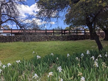 Oracle House | El Rancho Robles in Oracle