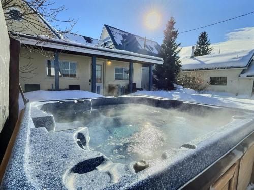 Leadville House | Gem Palace with Hot Tub Sauna