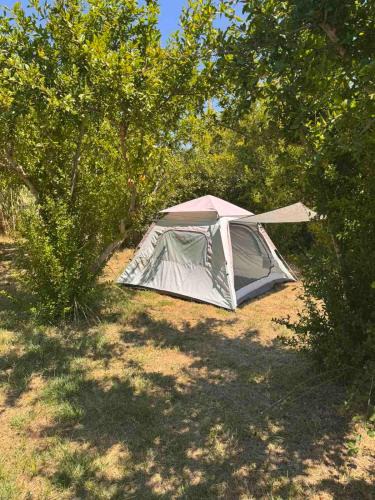 Donji Stoj Other | Greenfield campsite