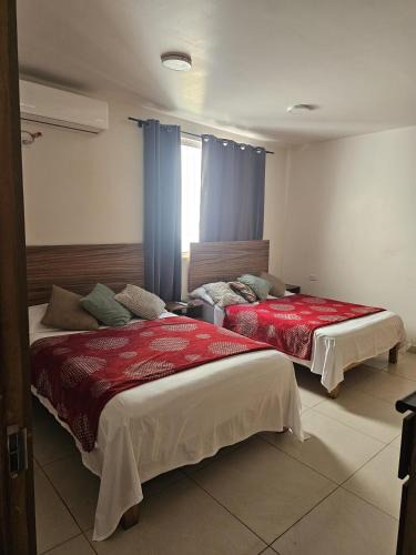Aguascalientes Hotel | Hotel Azalea Rooftop