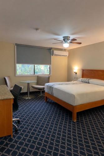 Avenida Revolucion Hotel | Hotel León