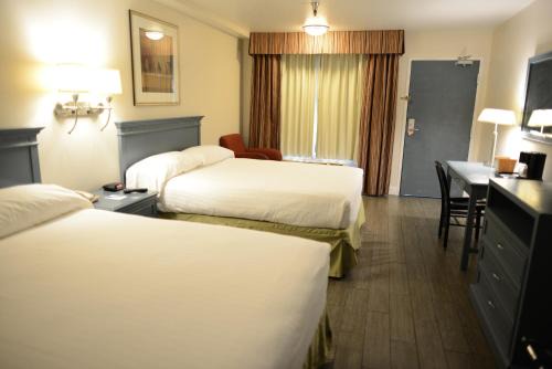 Pasadena Hotel | Hotel Le Reve Pasadena