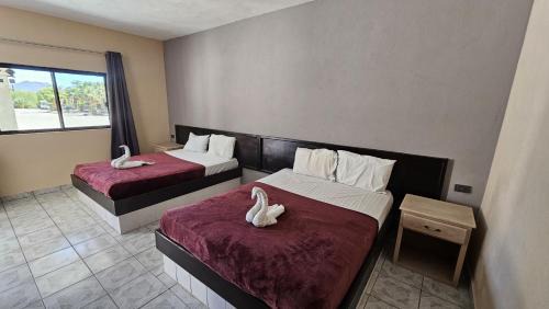 Mulege Hotel | Hotel Ricardo's