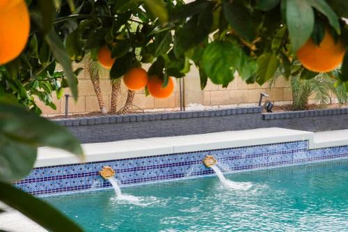Optimist Park NW House | Lazy Palms