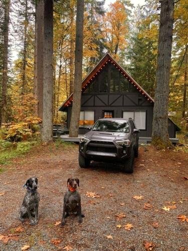 Skykomish Ski Chalet | Luxury A-Frame with Hot Tub, Fireplace & Firepit