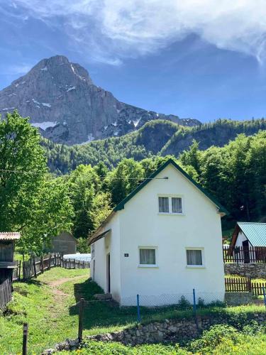 Pluzine House | MAGLIC