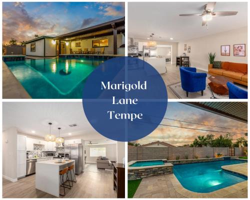 Tempe House | Marigold home