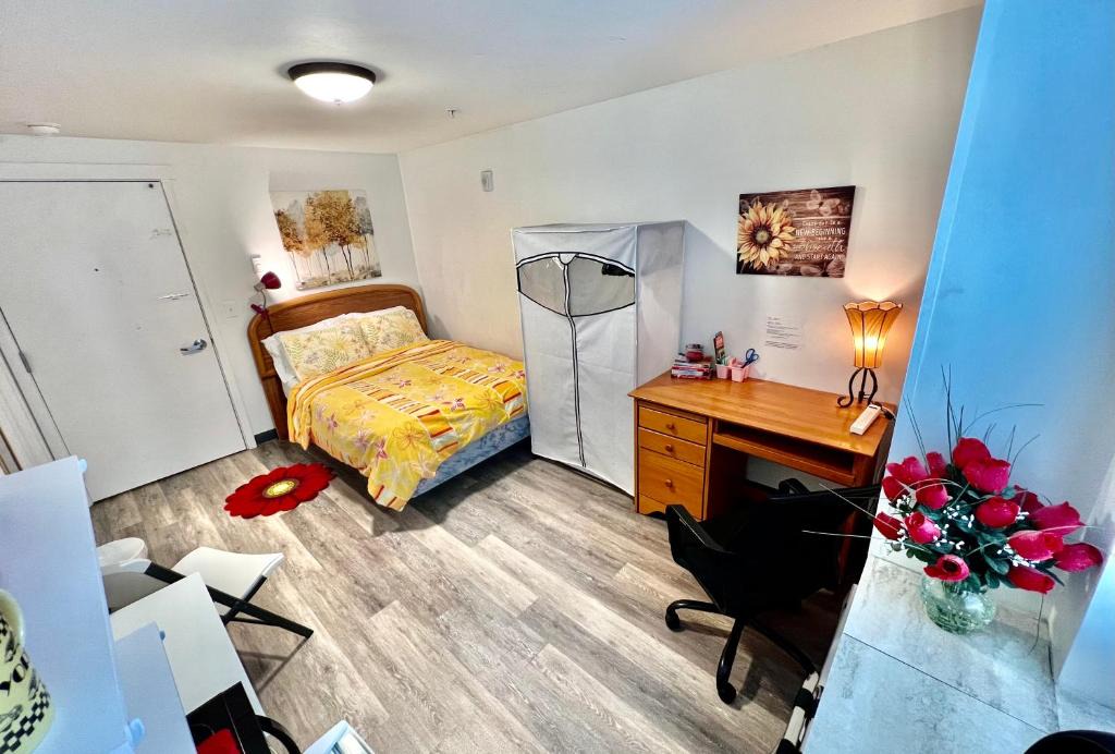 University District Apartment | Micro Studio Apartment 10 Minutes Walk to University of Washington