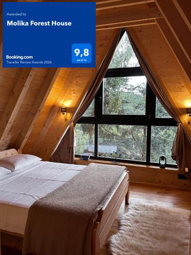 Kolasin House | Molika Forest House