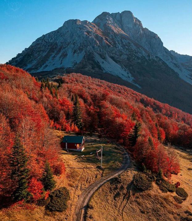 Montenegro House | Mountain House Komovi-Radunovic
