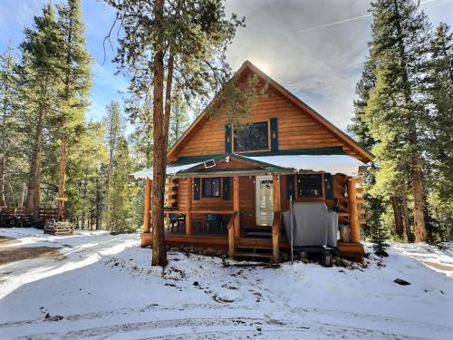 Leadville House | Mountain Log Home-Among Lodgepole Pines