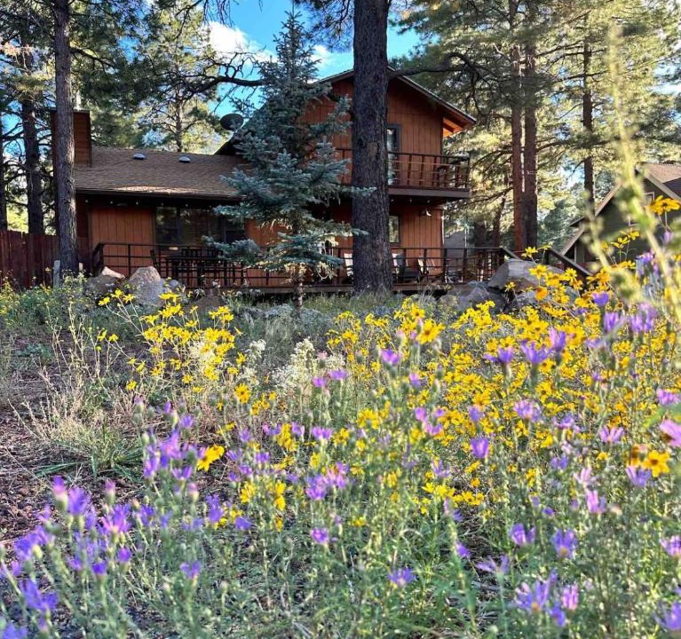 Kachina Village House | Peaceful Ponderosa Cabin 3bed2bath Dogs OK