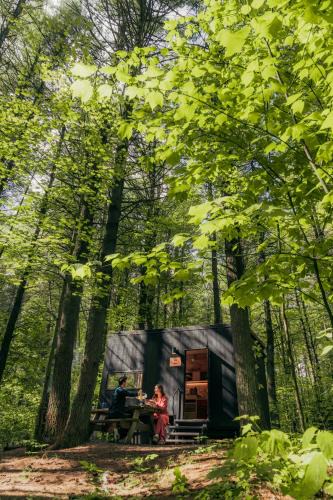 Kettle River Other | Postcard Cabins Kettle River, Outdoor Collection by Marriott Bonvoy