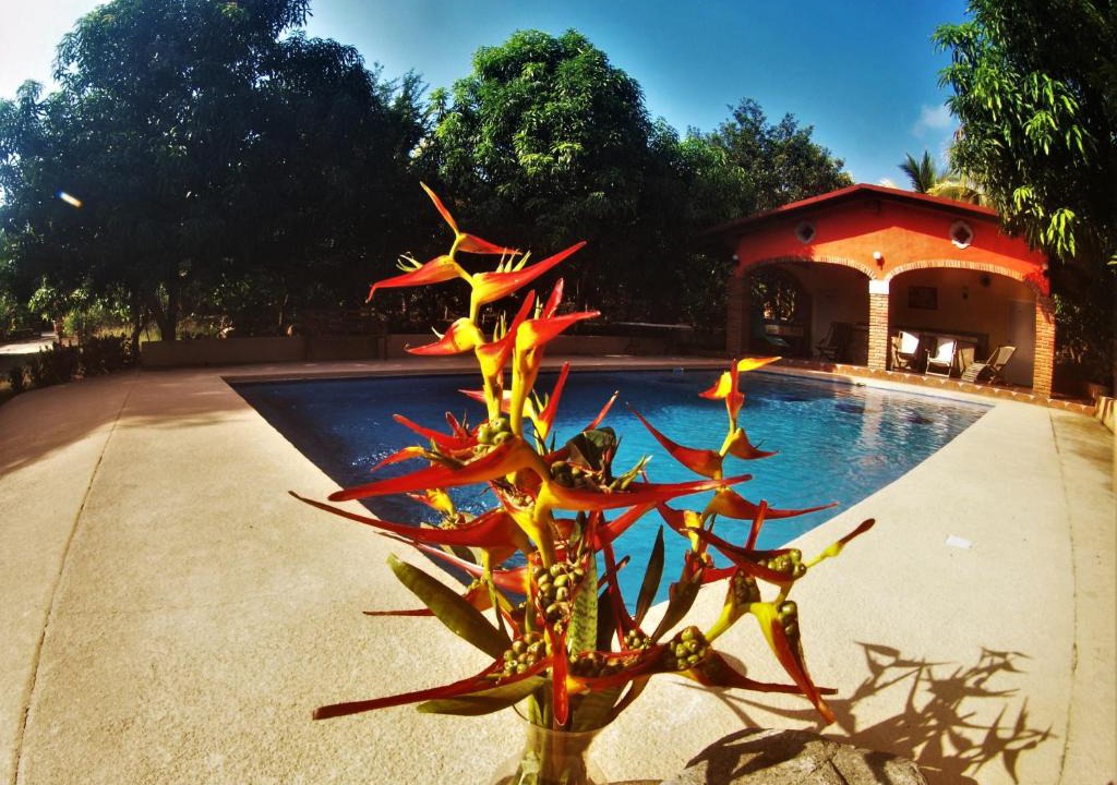 Comala Hotel | Quinta Comala Hotel & Villas