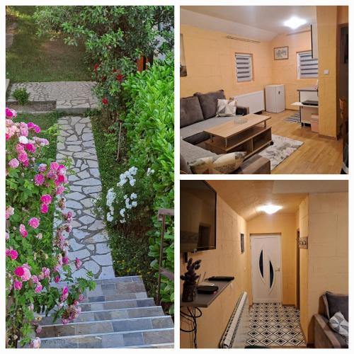 Kolasin Apartment | SAŠA