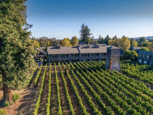 Napa Hotel | SENZA Hotel