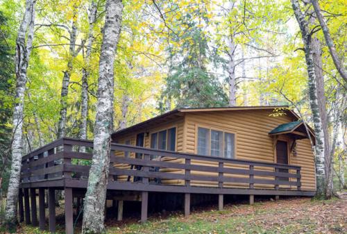 Babbitt House | Spacious 3 Bed House - True Cabin in the Woods - Parking - Netflix CB04