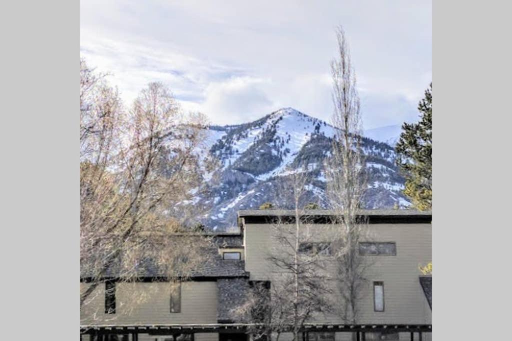 Moose Wilson Road Apartment | Spectacular Mountain Condo