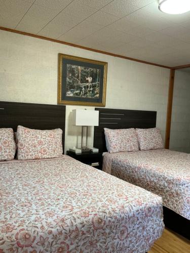 Big Pine Hotel | Starlight Motel