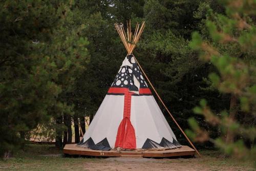 Island Park Other | Stunning Cozy Tipi near Yellowstone for an Amazing Glamping Escape in Nature in Island Park, Idaho