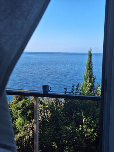 Utjeha House | SunnyDay House