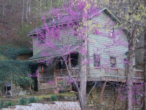 Ozark Ski Chalet | Turner Bend Cottage
