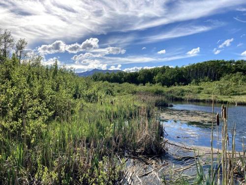 East Glacier Park House | Two Houses, Twice the Fun