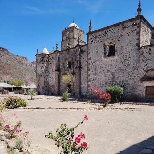 Nopolo House | Vacation Rental Experience an unforgettable Mexican getaway at Casa Dos Perros