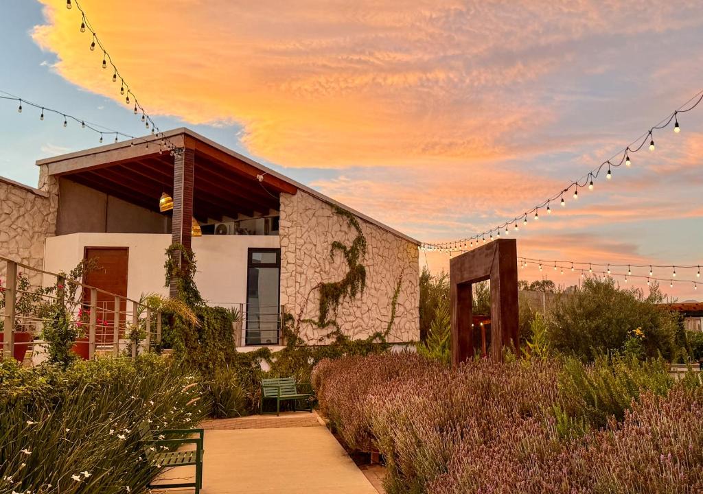 Valle de Guadalupe Hotel | Valle Soléa