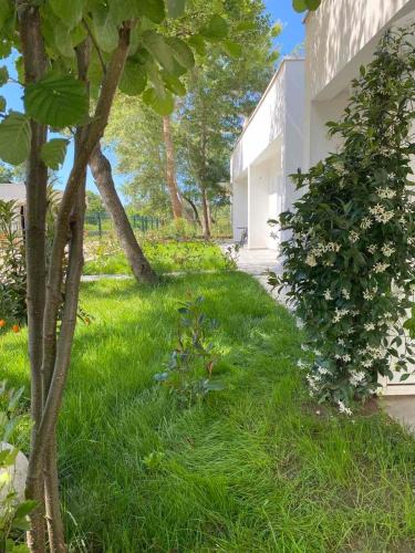 Ulcinj Apartment | Villa Hanna
