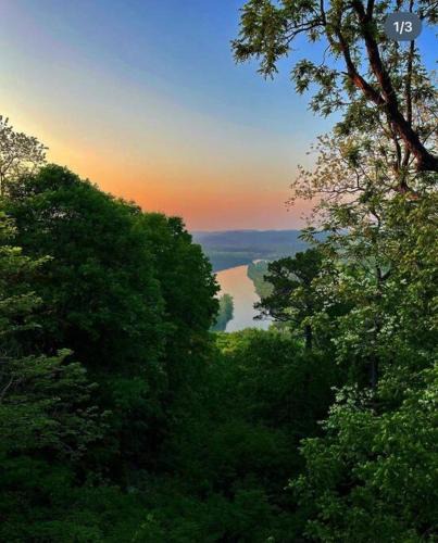 Eureka Springs House | White River Mountain Manor- Million dollar view