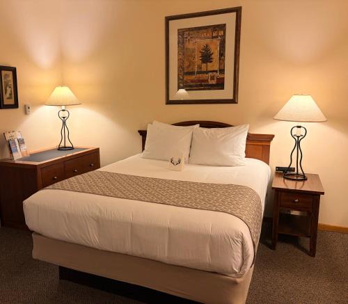 Deadwood Resort | Whitetail Creek Resort