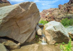 1,200-acre outdoors and fun in the sun!
