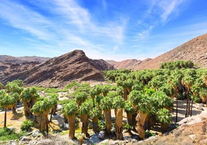 1,200-acre outdoors and fun in the sun!