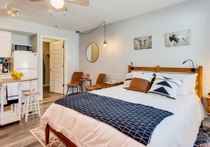 Antelope · Cozy Studio in Tempe near ASU · Bluu Door