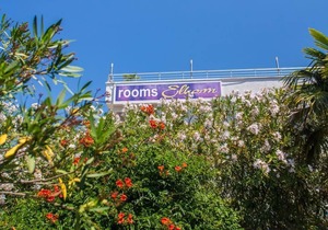 Apartment 14,green,for 3 People, 00 Meter from "Grate Beach",including Breakfast