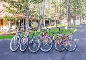 Circle 4 Cabin 23