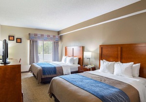 Comfort Inn Lincoln