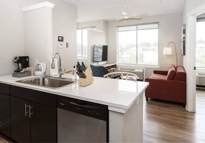 Kasa The Comma | Classic 1BD in Denver
