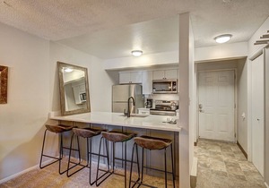 New Remodel! Slope Side Access and Fast WiFi