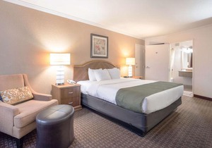 Quality Inn & Suites Lake Havasu City