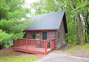 Vivacious Christmas Mountain Village, 2 Bedroom Cabin